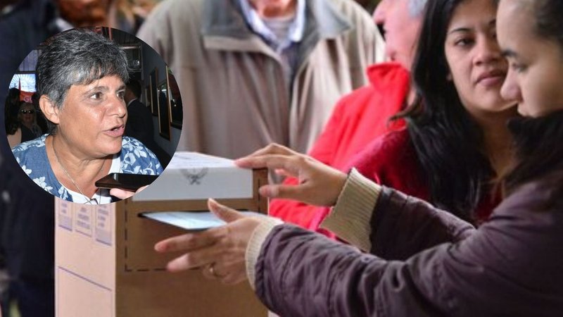 En la previa de las elecciones en Formosa: el Tribunal Electoral excluyó a dos acompañantes cívicos por afiliación partidaria