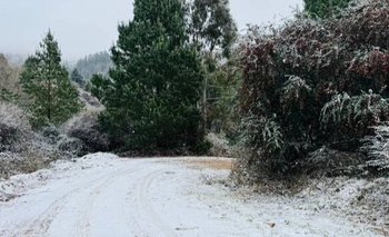 Nevó en Córdoba y hay furor en las redes: las imágenes | Clima