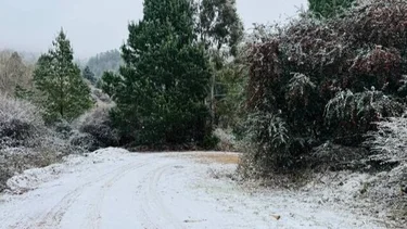 Nevó en Córdoba y hay furor en las redes: las imágenes