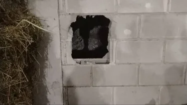 Córdoba: hizo un boquete para entrar a robar pero cometió un error y lo detuvieron