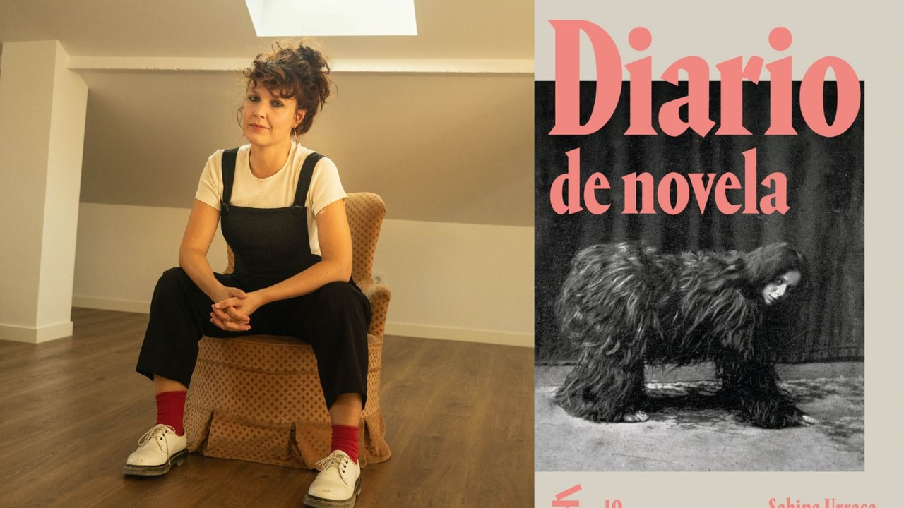 Reseña de Diario de Novela, el primer libro de Sabrina Urraca publicado en Argentina. De qué trata Diario de Novela de Sabrina Urraca.