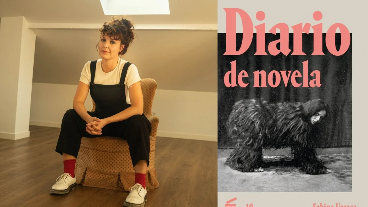 Reseña de Diario de Novela, el primer libro de Sabrina Urraca publicado en Argentina. De qué trata Diario de Novela de Sabrina Urraca.