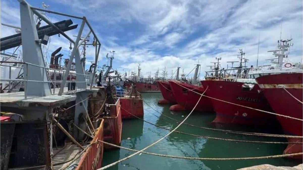La actividad pesquera se desplomó 24,3% interanual en mayo