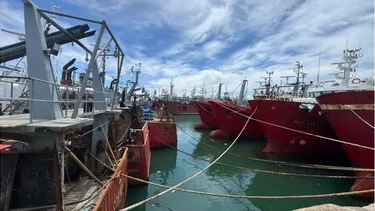 Alerta por crisis en el sector pesquero: despidos, flota paralizada y falta de transparencia