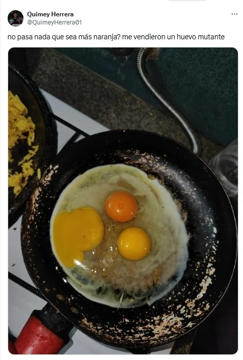 huevos, yemas, huevo, doble yema