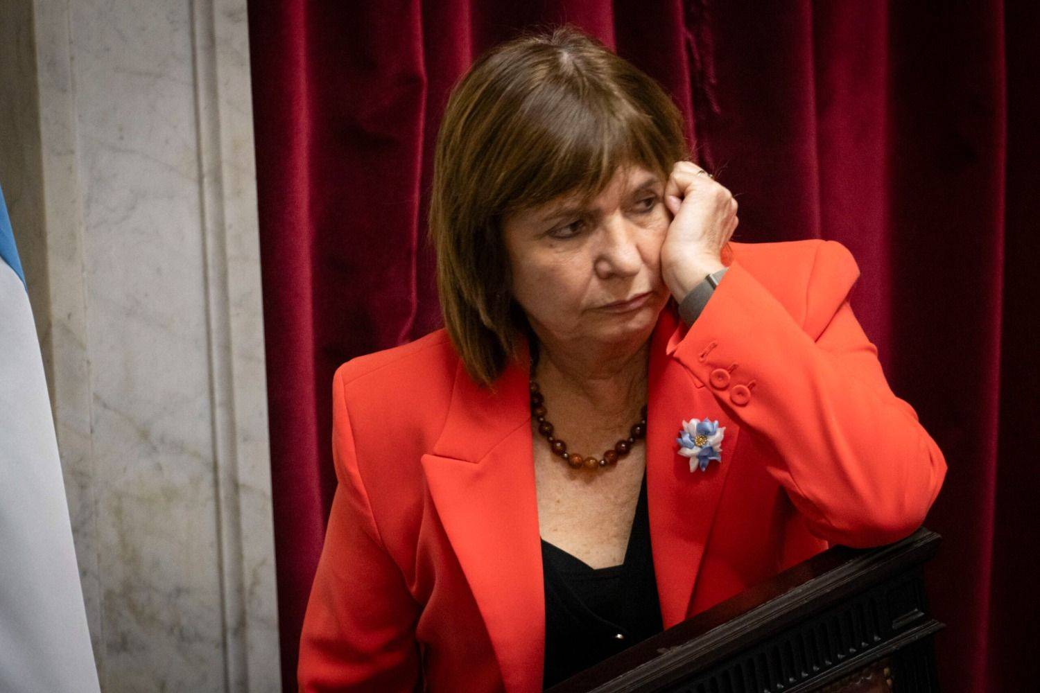 Patricia Bullrich volvió a criticar el plan económico de Milei: "Preocupa muchísimo"