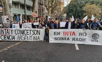 Revés judicial contra el Gobierno: ordenan el cese de despidos y recortes en el INTA | Despidos en el estado
