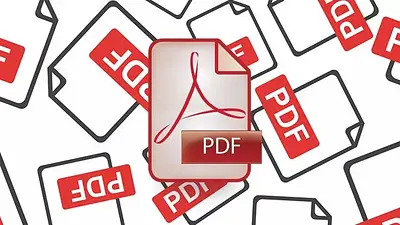 PDF PDF