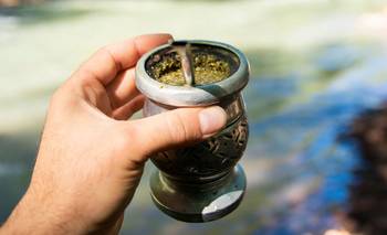 La UBA investiga cómo el mate podría retrasar el Parkinson  | Salud