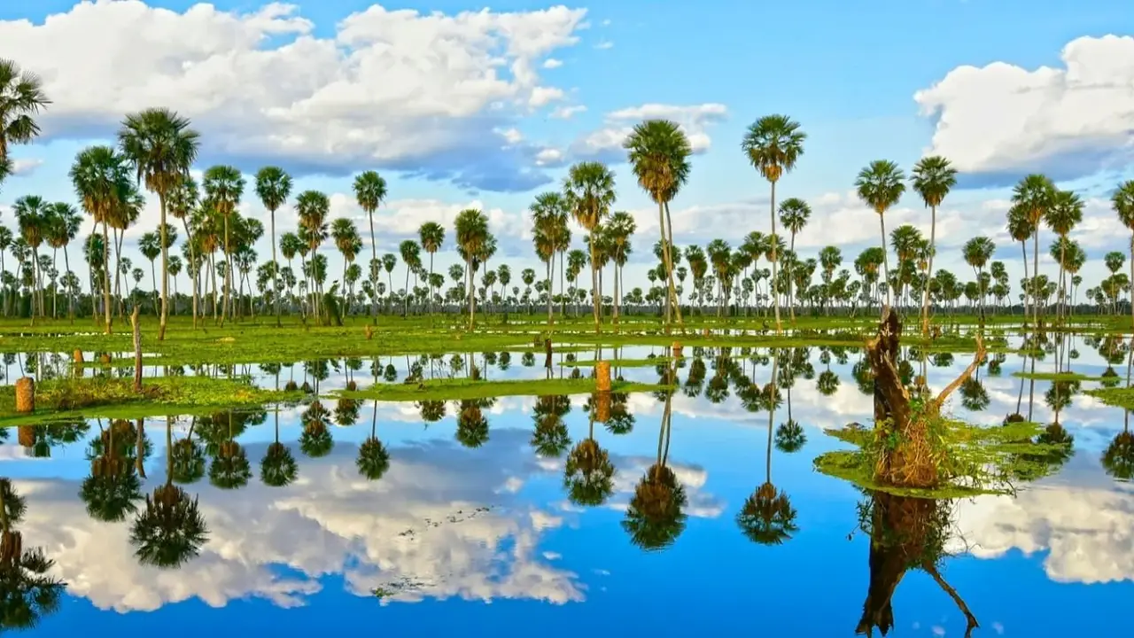 Día Mundial del Medio Ambiente: Formosa destacó un modelo de desarrollo basado en la sustentabilidad