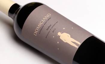 El vino mendocino clave para celebrar el Mundial 2026: los mejores vinos de autor  | Gastronomía