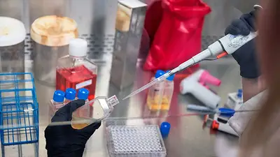 Las vacunas contra el cáncer basadas en ARNm avanzan a pesar de los recortes en EEUU Las vacunas contra el cáncer basadas en ARNm avanzan a pesar de los recortes en EEUU