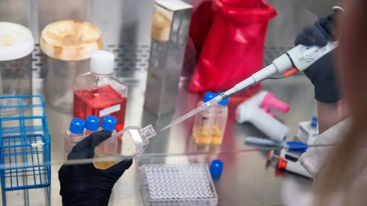 Las vacunas contra el cáncer basadas en ARNm avanzan a pesar de los recortes en EEUU