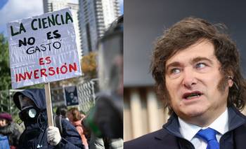 Por el ajuste nacional, la inversión en ciencia cayó más de 45% en la provincia | Ciencia y tecnologia