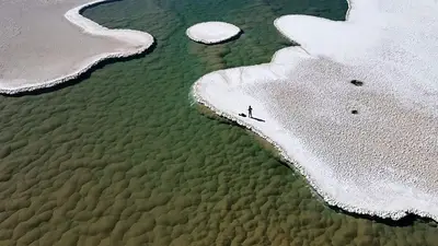 El espectacular ecosistema oculto descubierto en el norte argentino que asombra a los científicos El espectacular ecosistema oculto descubierto en el norte argentino que asombra a los científicos