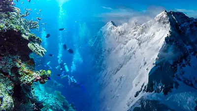 Naturaleza Naturaleza
