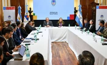 El NEA avanzan en una agenda común para fortalecer la salud pública  | Salud pública