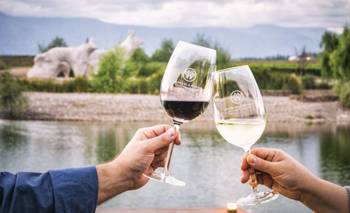 De Gualtallary a Londres: un vino mendocino se consagró entre los mejores del mundo | Vinos