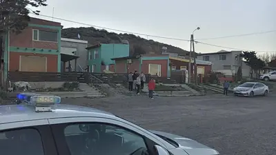 Tragedia en Chubut: una nena de 5 años murió tras el ataque de un perro Tragedia en Chubut: una nena de 5 años murió tras el ataque de un perro