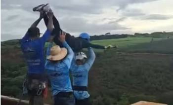 La palabra de los que arrojaron al vacío a la joven en Brasil sin protección: “Desmayo” | Brasil 