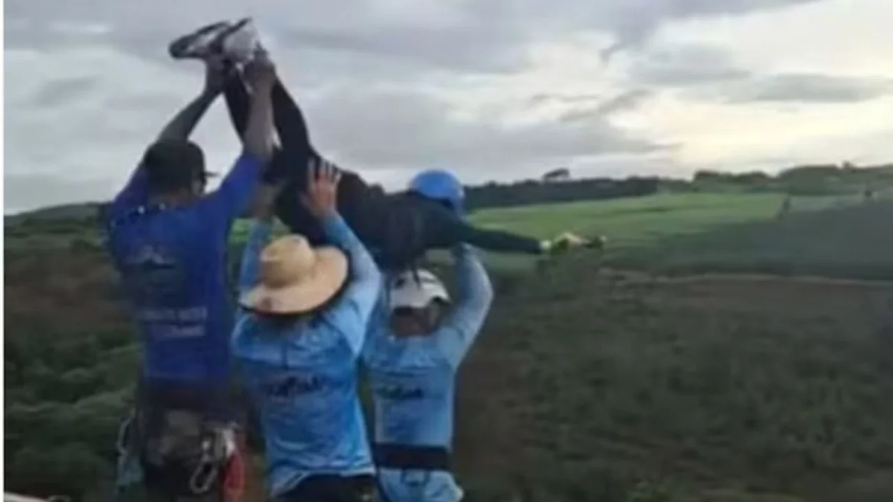 La palabra de los que arrojaron al vacío a la joven en Brasil sin protección: “Desmayo”