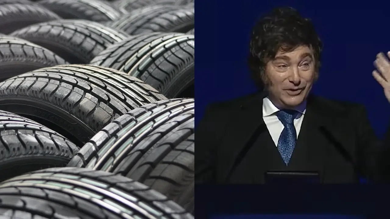 Neumáticos y Javier Milei