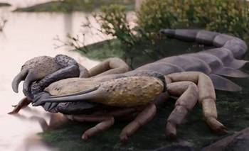 Descubren al escorpión gigante que reinó hace 415 millones de años | Animales