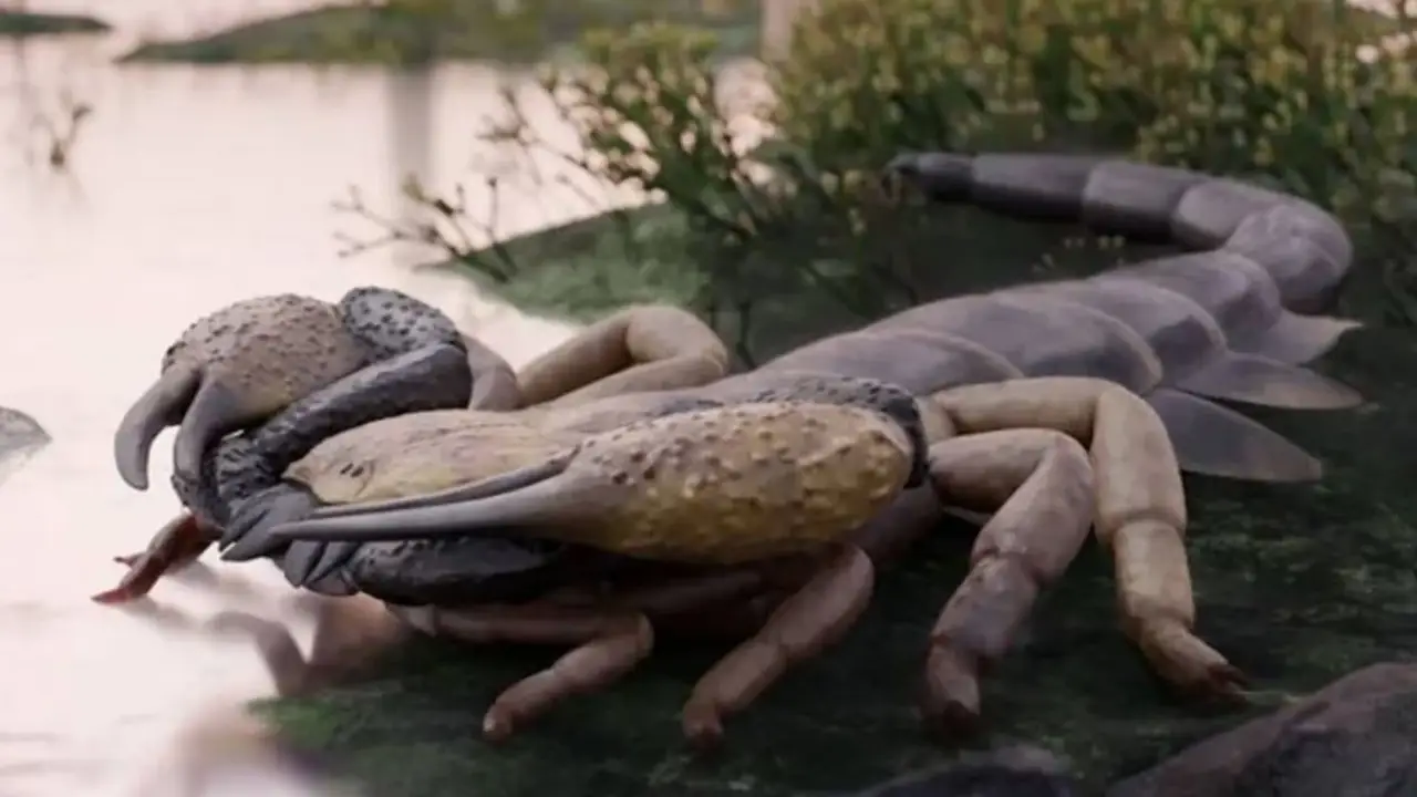 Escorpión gigante.