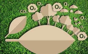 Con foco en la bioeconomía y las finanzas verdes, Formosa apuesta a la economía del futuro | Medioambiente