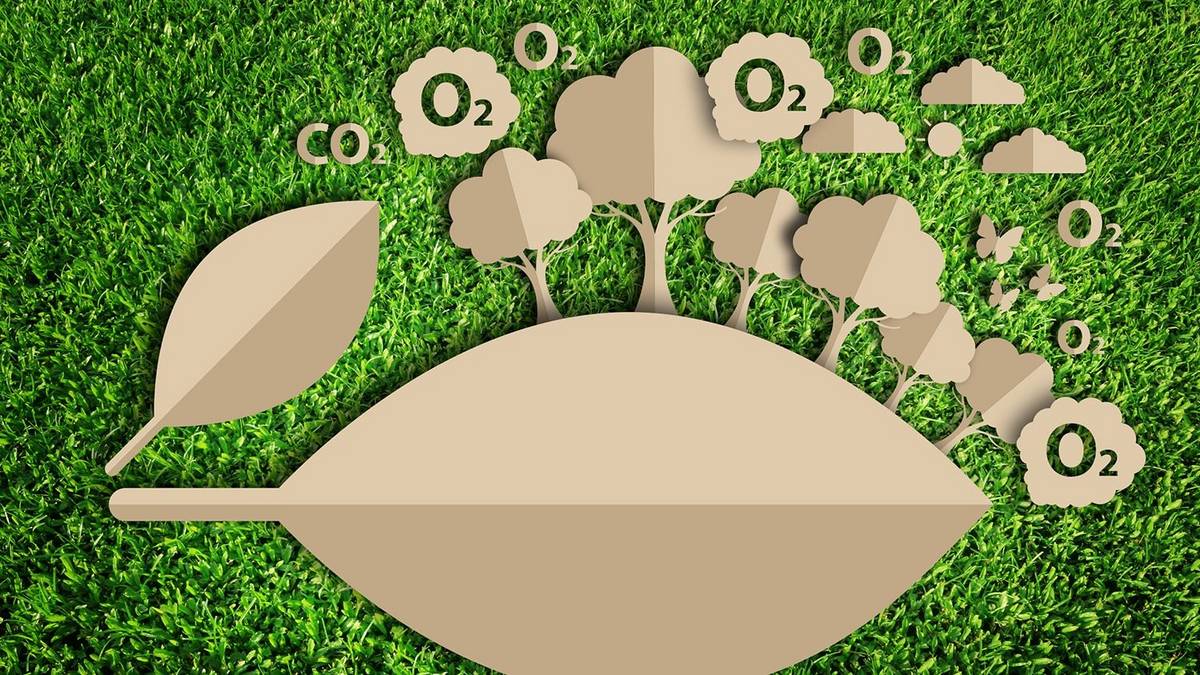 Formosa impulsa la bioeconomía y finanzas verdes hacia el futuro