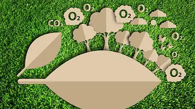 Con foco en la bioeconomía y las finanzas verdes, Formosa apuesta a la economía del futuro Con foco en la bioeconomía y las finanzas verdes, Formosa apuesta a la economía del futuro