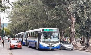 "La crisis es terminal": empresas de colectivos advirtieron por posibles cancelaciones | Transporte público