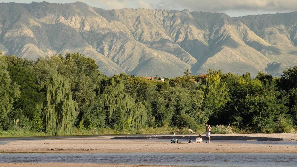 Descubren en Córdoba una nueva especie de un mamífero único