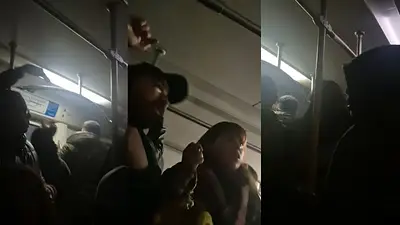 Pánico en el Tren Roca: explotaron los cables de alta tensión en el ramal Alejandro Korn Pánico en el Tren Roca: explotaron los cables de alta tensión en el ramal Alejandro Korn