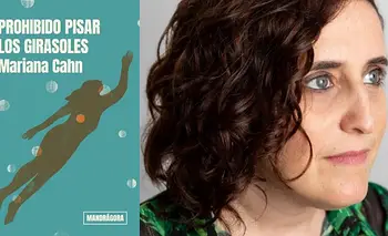 La vida después del diagnóstico: la historia detrás de Prohibido pisar girasoles | Libros