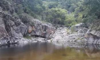 La nueva especie animal que encontró el Conicet | Animales