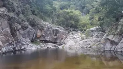 No descubrían un género así desde el 2000: la nueva especie animal que encontró el Conicet en Córdoba No descubrían un género así desde el 2000: la nueva especie animal que encontró el Conicet en Córdoba