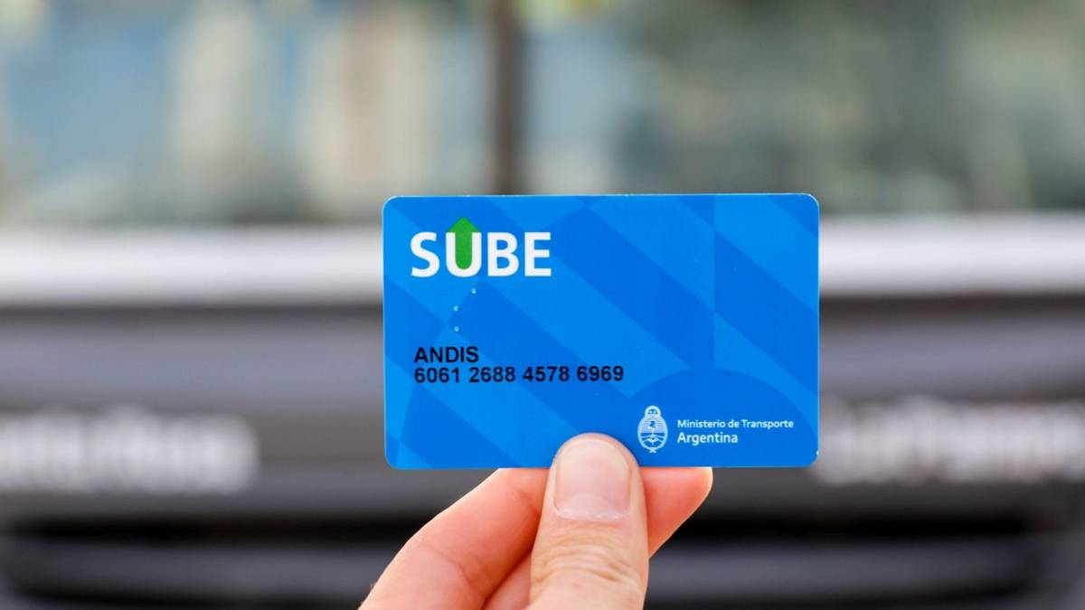 Las personas con discapacidad podrán vincular el CUD a la SUBE de manera opcional
