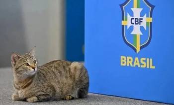 La historia de "la maldición del gato", la peor pesadilla de Brasil | Mundial 2026