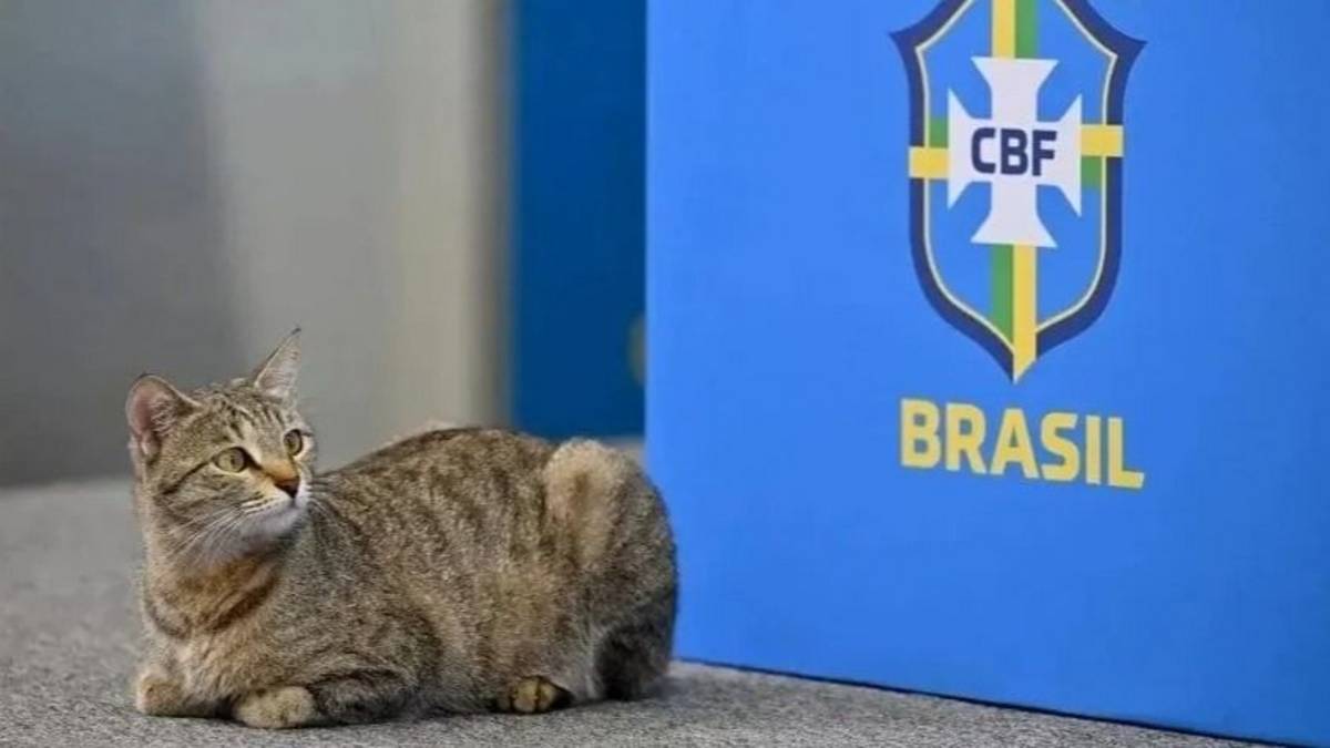 Qué es "la maldición del gato" de Brasil en el Mundial 2026: la historia de la peor pesadilla