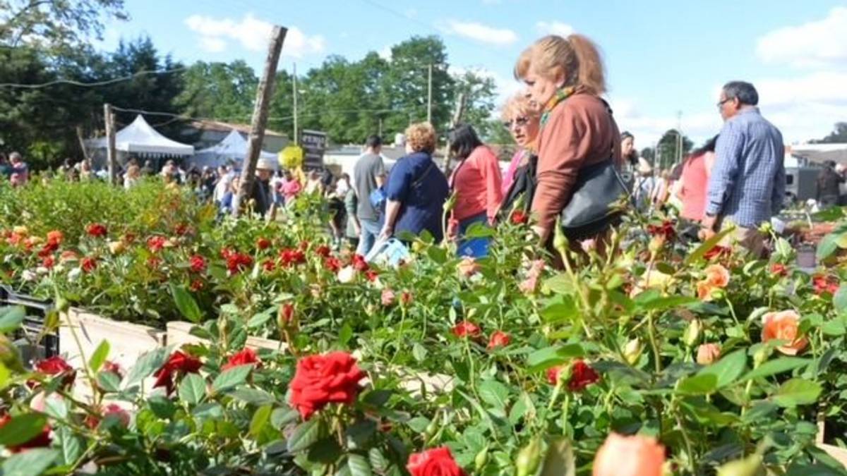 El pueblo jardín de Buenos Aires donde los viveros marcan el ritmo de la vida