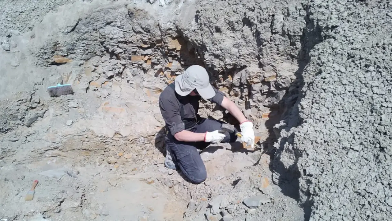 Una falla en la roca lo "decapitó": el hallazgo científico que pone a la Argentina en el centro de un misterio de la evolución