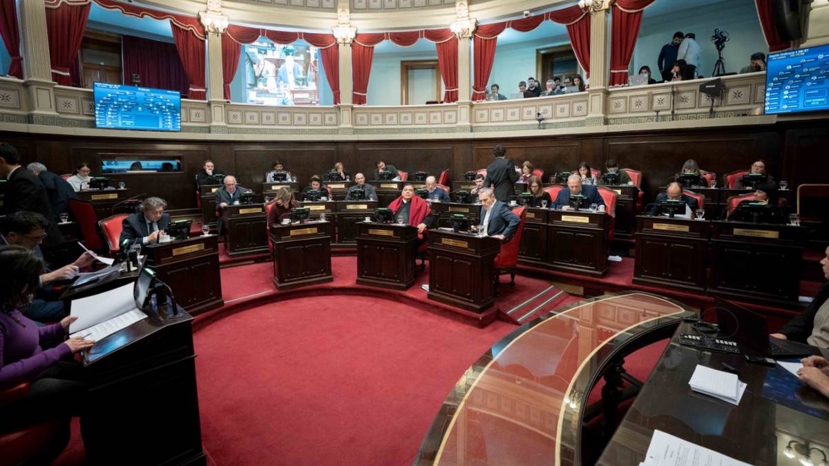 Sesión caliente en el Senado para designar los cargos en el Consejo de la Magistratura