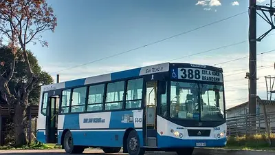 Colectivo de la línea 388 Colectivo de la línea 388
