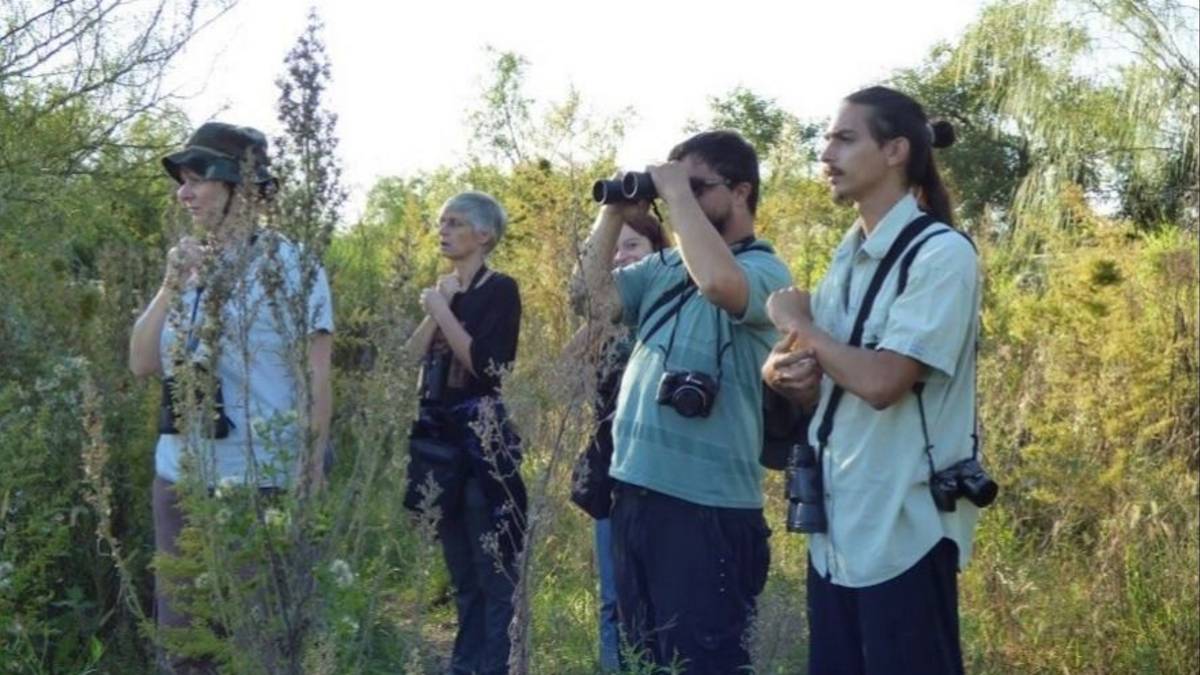Buscan voluntarios para salvar a las aves de nuestro país: cómo participar y quiénes pueden hacerlo