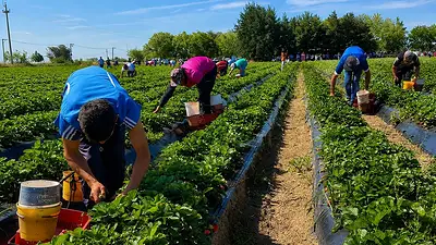 La Rioja relanzó el Programa Intercosecha para acompañar a trabajadores rurales con asistencia económica y capacitación La Rioja relanzó el Programa Intercosecha para acompañar a trabajadores rurales con asistencia económica y capacitación