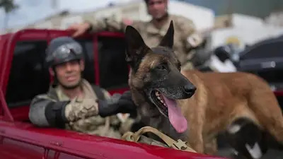 El emotivo video de Bart, el perro argentino que salvó dos niños tras los terremotos en Venezuela El emotivo video de Bart, el perro argentino que salvó dos niños tras los terremotos en Venezuela
