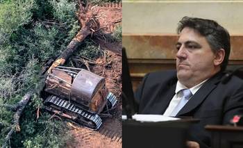 Revés para Paoltroni: la Justicia ratificó la multa millonaria por desmontes | Francisco paoltroni