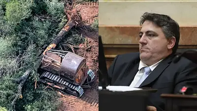 Revés para Paoltroni: la Justicia ratificó la multa millonaria contra el senador, por desmontes ilegales en Formosa Revés para Paoltroni: la Justicia ratificó la multa millonaria contra el senador, por desmontes ilegales en Formosa