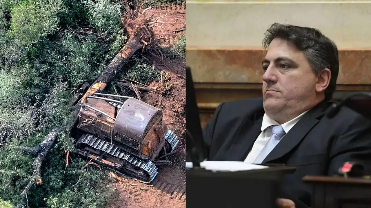 Revés para Paoltroni: la Justicia ratificó la multa millonaria contra el senador, por desmontes ilegales en Formosa